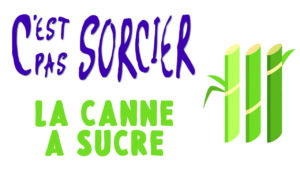 c-est-pas-sorcier-canne-a-sucre-cook-and-record