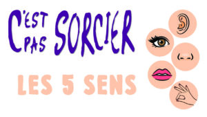 c-est-pas-sorcier-les-5-sens-cook-and-record