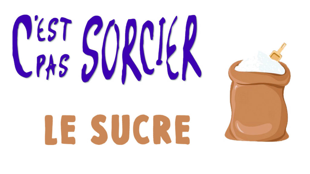 C'est pas Sorcier : Le sucre