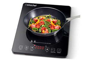 plaque-induction-portable-cook-and-record.