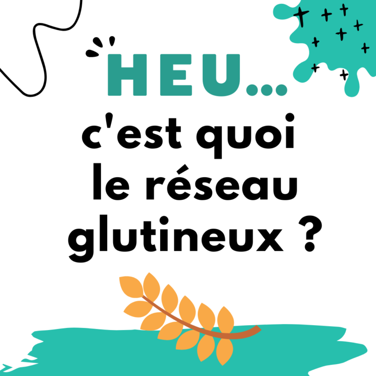 c'est quoi le réseau glutineux1