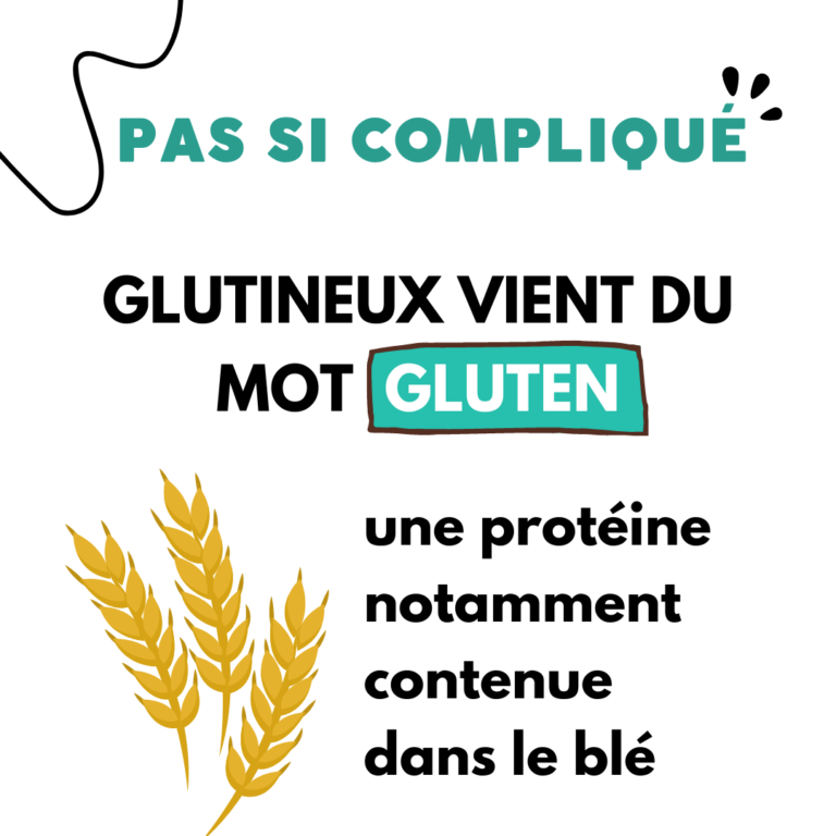 c'est quoi le réseau glutineux2