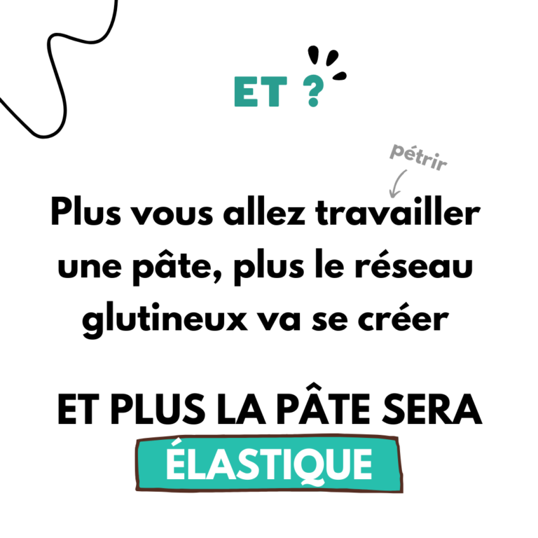 c'est quoi le réseau glutineux4