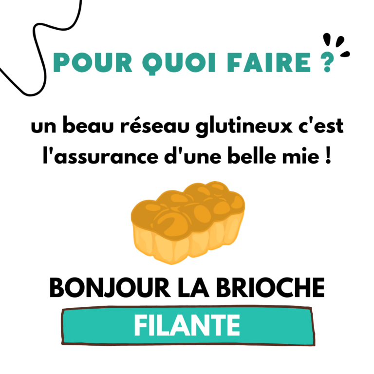 c'est quoi le réseau glutineux5