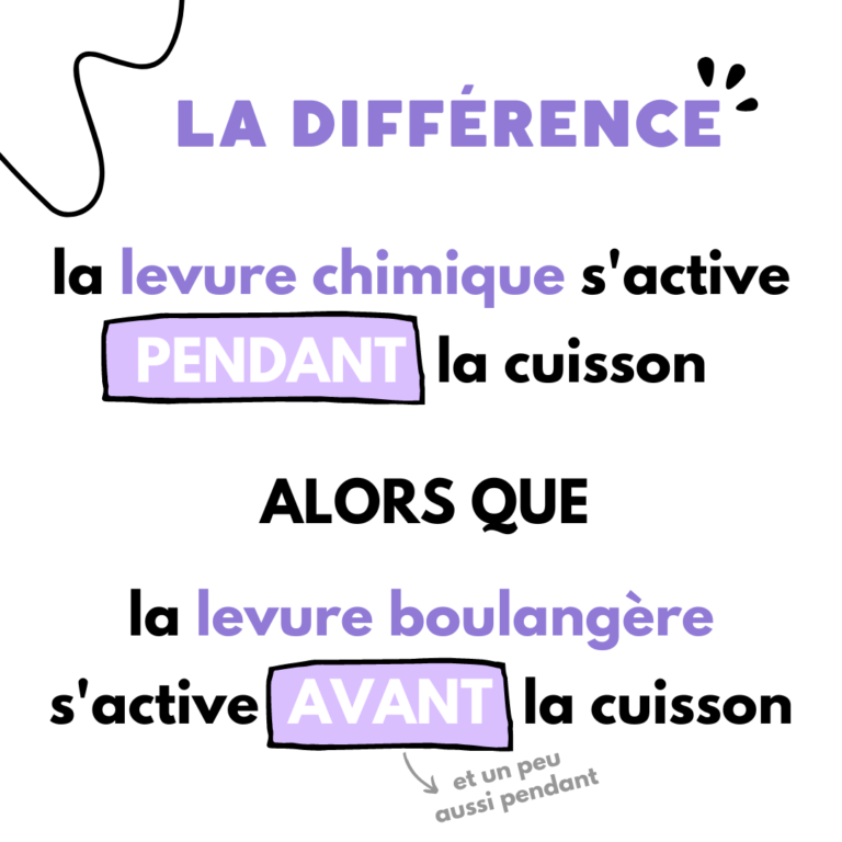 difference entre levure chimique et levure boulangere6