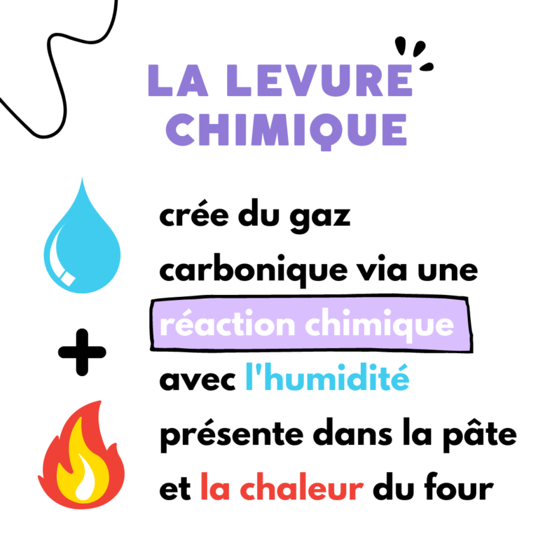 difference entre levure chimique et levure boulangere7