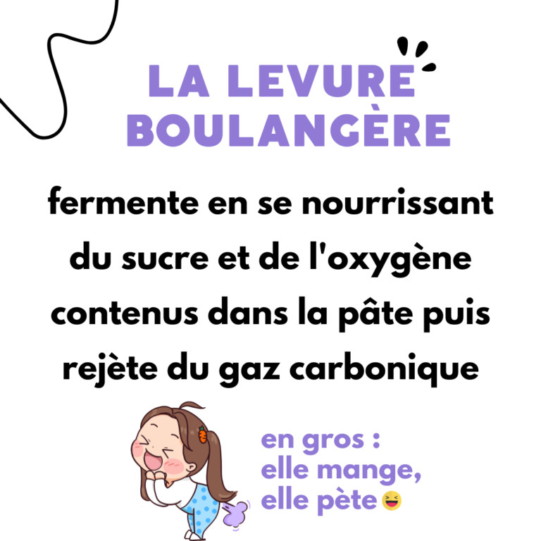 difference entre levure chimique et levure boulangere8