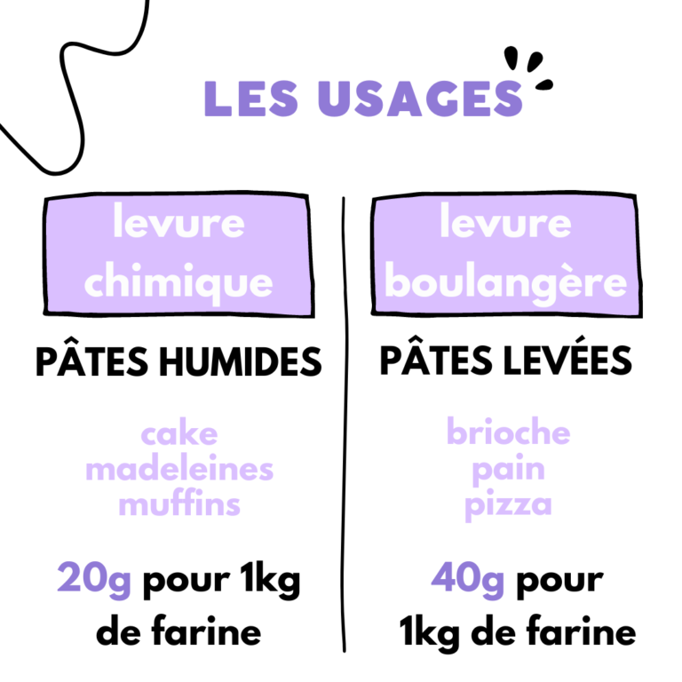 difference entre levure chimique et levure boulangere9