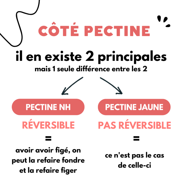 sos-quand-utiliser-quel-gélifiant-cook-and-record