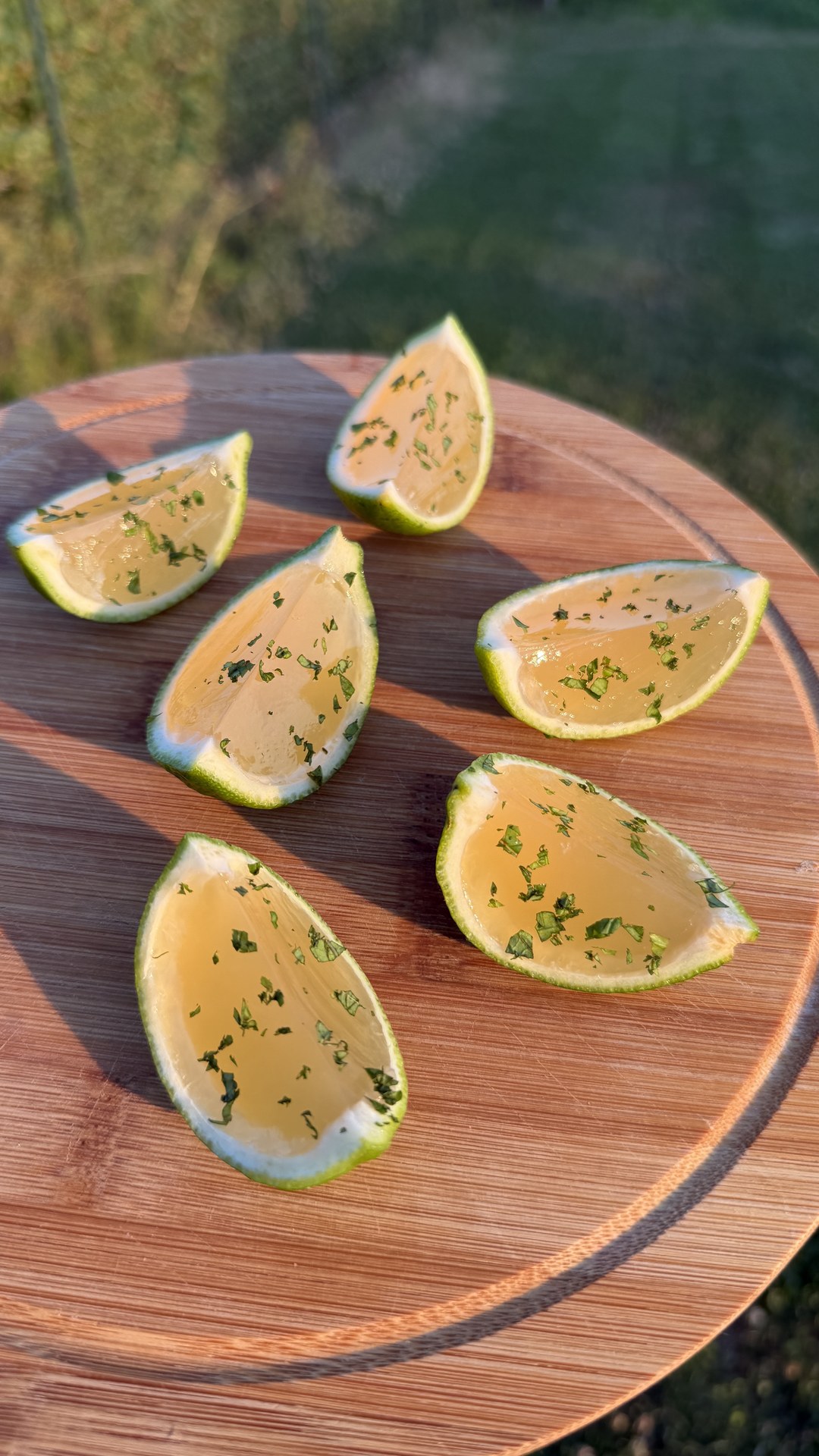 shots-de-mojito-1
