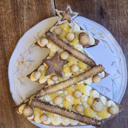 recette-sapin-agrumes-cook-and-record